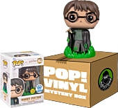 Harry Potter and the Chamber of Secrets - Harry with Floo Powder Mystery Box (Includes Harry & 3 Mystery Exclusive Pop! Vinyl Figures)