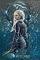 The Witcher - Ciri the Swallow Poster (1173)